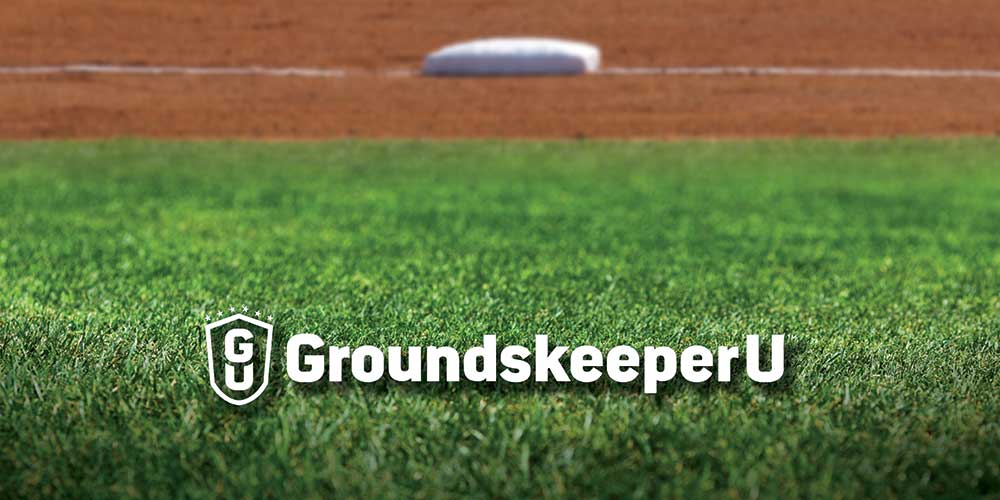 baseball field grass background